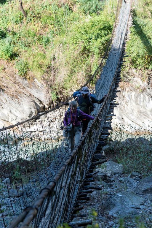 Pont de bambou et grillage !